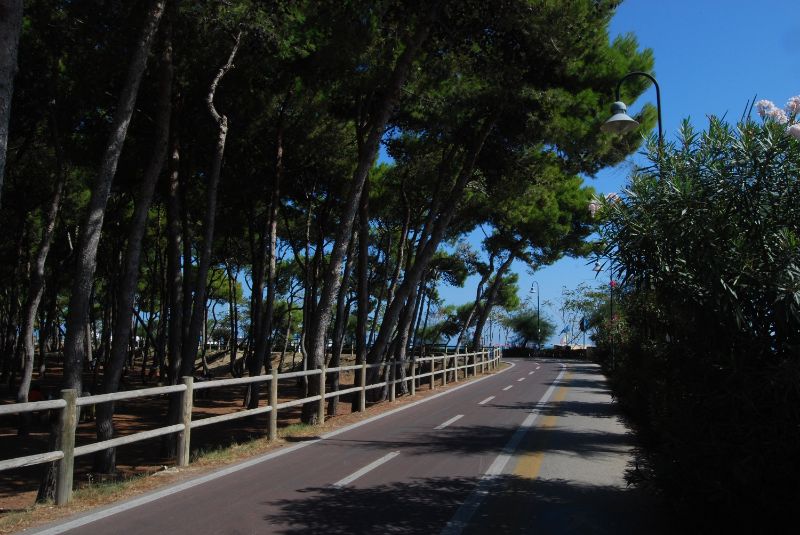 appartamento-affitto-31-013